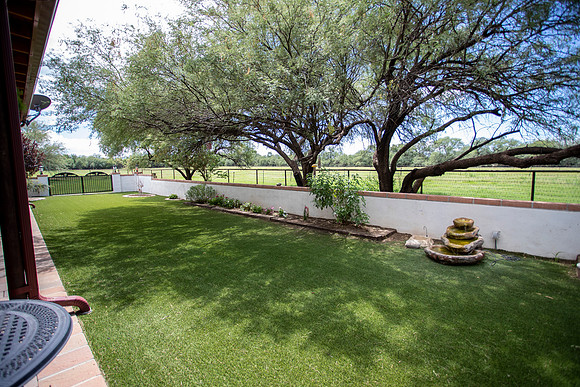 RS_MainHouse_Backyard_0503