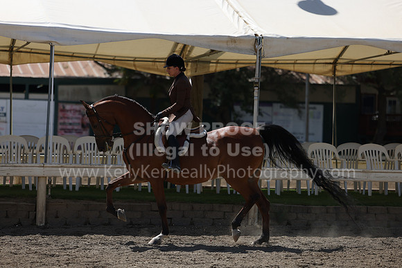 DAHA22_Thurs_0832