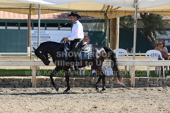 DAHA_FF22_1259