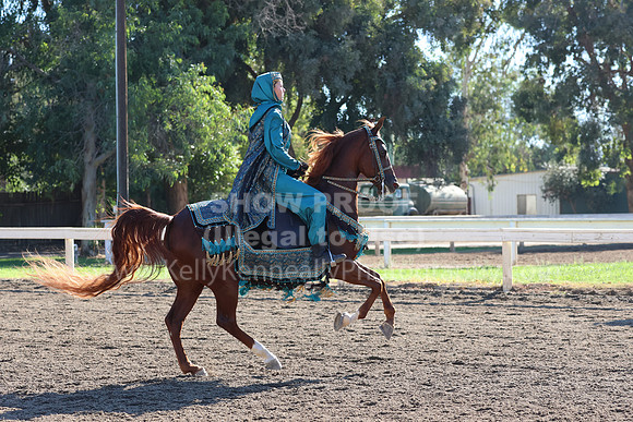 DAHA_FF22_4059