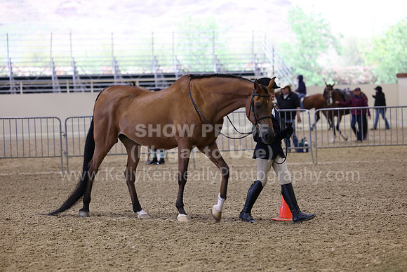 AHANC22_R5_Thurs_0828