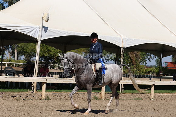 DAHA_FF22_2954