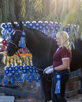 HodgesRibbons24_3809