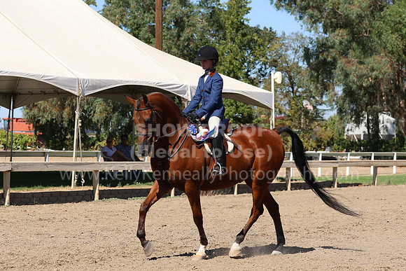 DAHA_FF22_3160