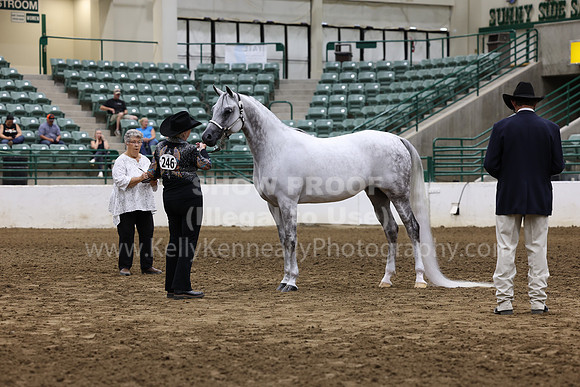 R322_CH_Thurs_2651
