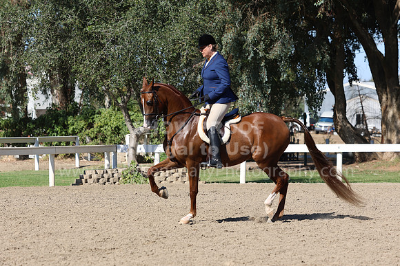 DAHA_FF22_1491