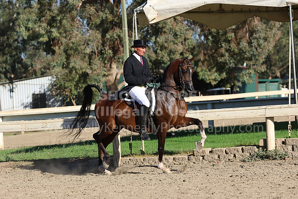 DAHA_FF22_1754
