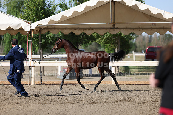 DAHA22_Fri_1482