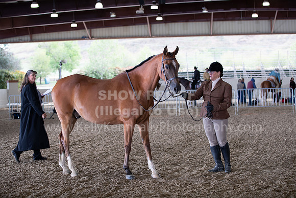 AHANC22_WedAM_0027