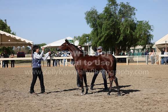 DAHA22_Fri_1665