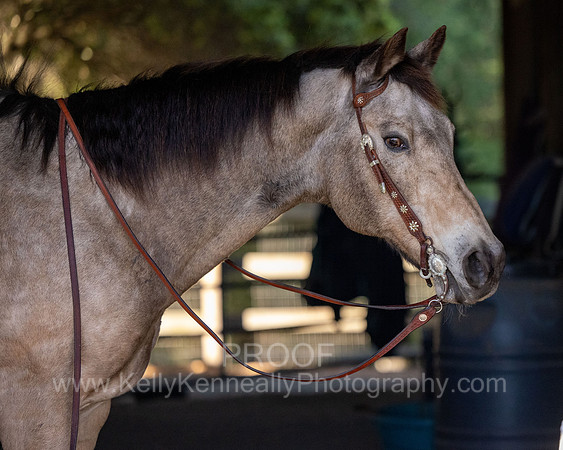 Kellie&Dusty22_0157