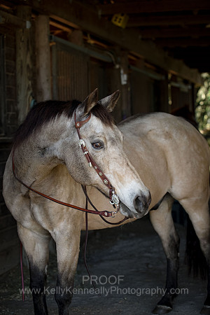 Kellie&Dusty22_0181
