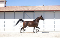 BeckersExtravaganza24_Sat1_6800