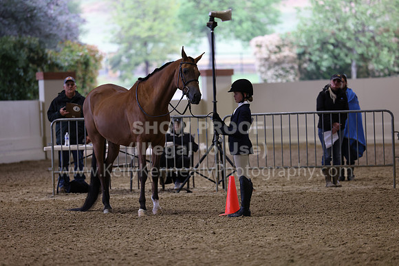 AHANC22_R5_Thurs_0823
