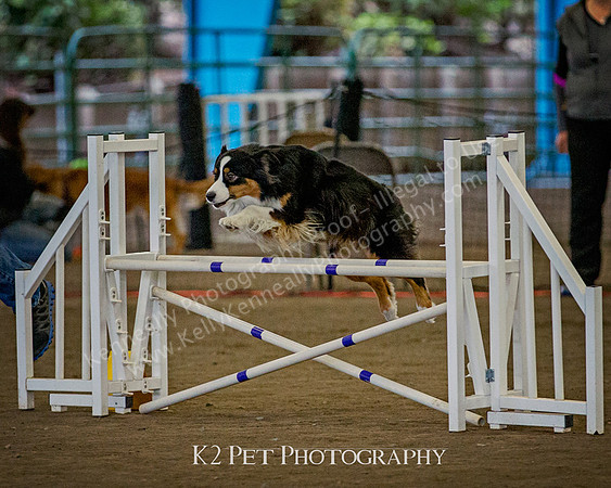 SCAC_Nov17Day3_11381