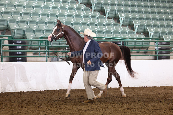 R322_CH_Thurs_2585