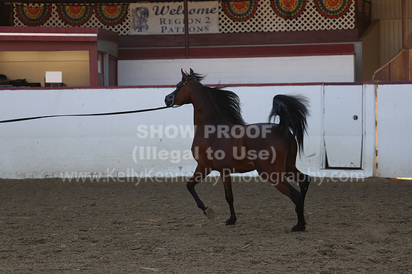 R2_22_Thurs_6449