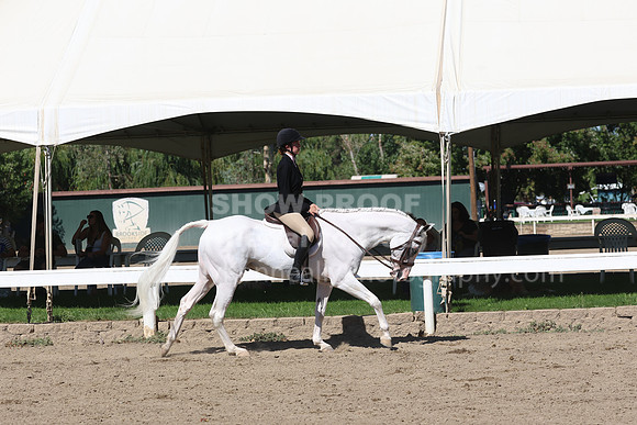 DAHA_FF22_2588