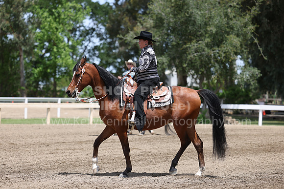 DAHA22_Thurs_0967