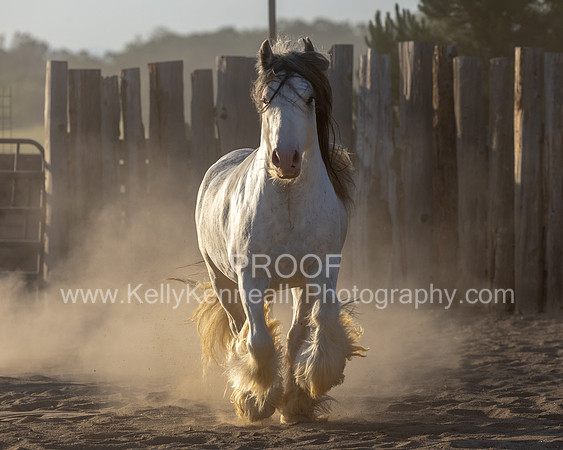 ThunderMay25_3674