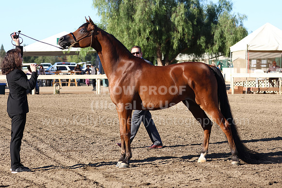 DAHA_FF22_0067