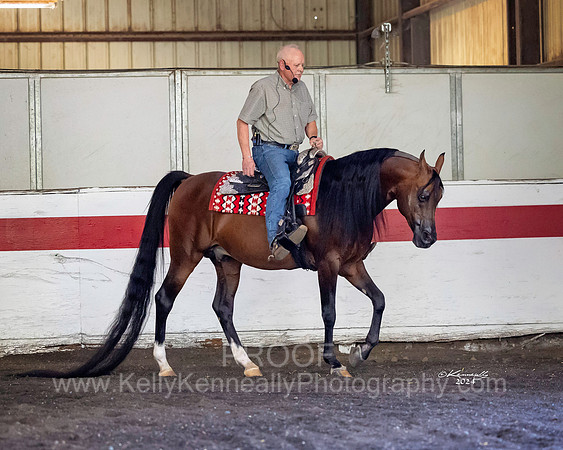 BeckersExtravaganza24_Sat1_8496