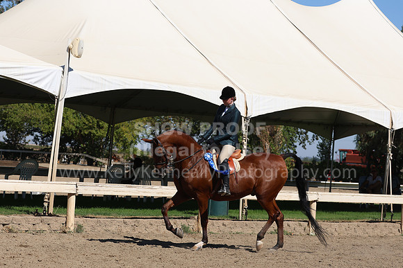 DAHA_FF22_2493