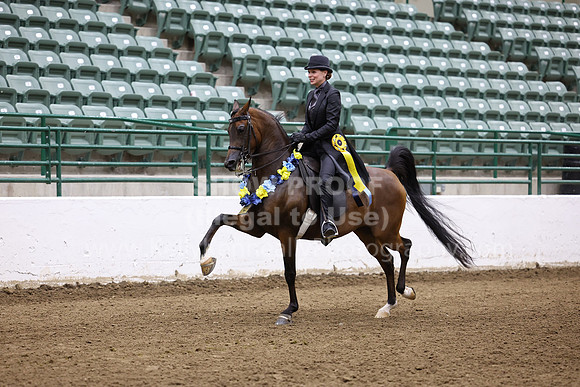 R322_CH_Fri_Class328_371