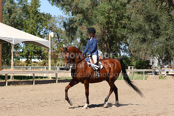 DAHA_FF22_3159