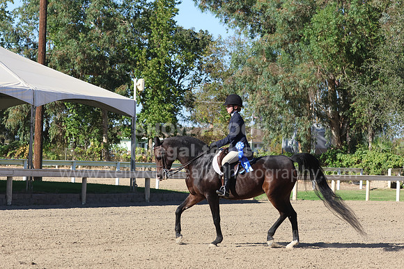 DAHA_FF22_3417