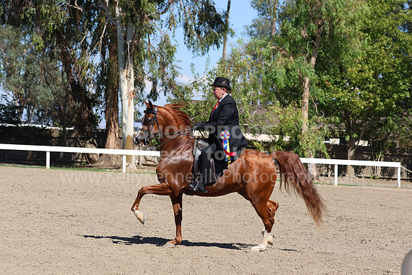 DAHA_FF22_5499