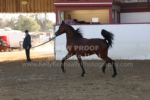 R2_22_Thurs_6464
