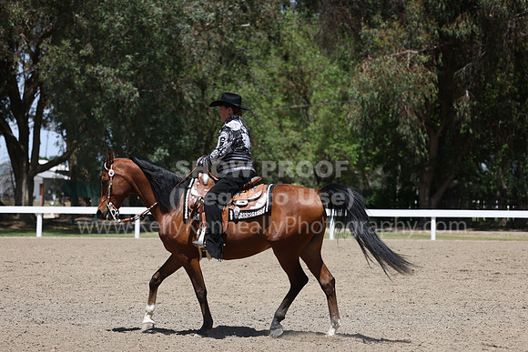 DAHA22_Thurs_1240