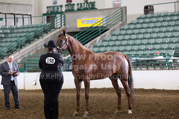 R322_CH_Thurs_2394