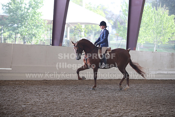 AHANC22_WedAM_0095
