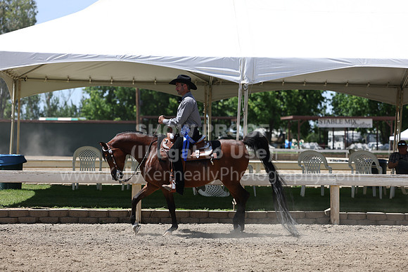 DAHA22_Thurs_1283