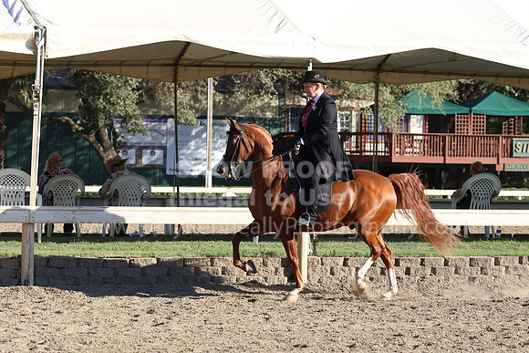 DAHA_FF22_3530