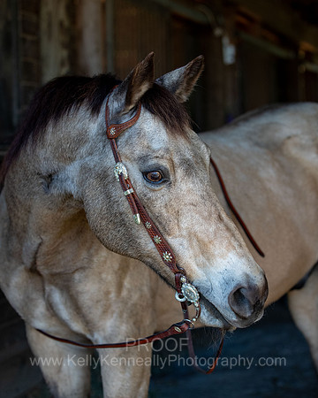 Kellie&Dusty22_0169