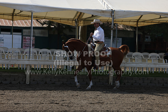 DAHA22_Thurs_0565