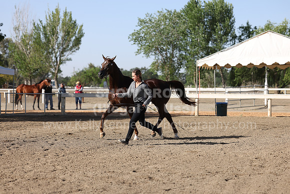 DAHA22_Fri_1550