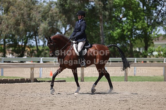 DAHA22_Thurs_1299
