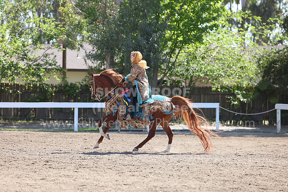 DAHA22_Sun_3432