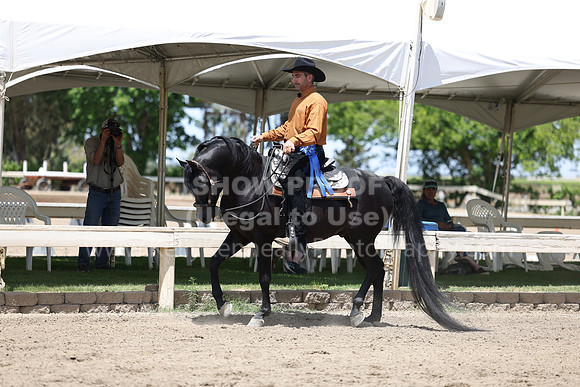 DAHA22_Thurs_1016