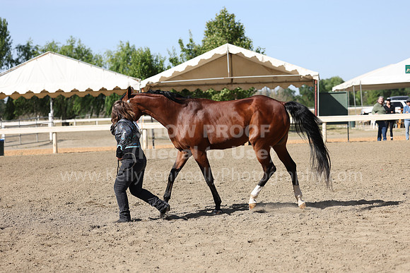 DAHA22_Fri_1682