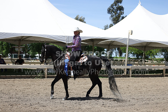 DAHA22_Thurs_1258