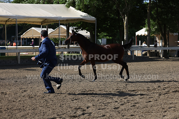 DAHA22_Fri_1498