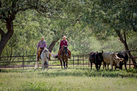 RS_CowWork_6159
