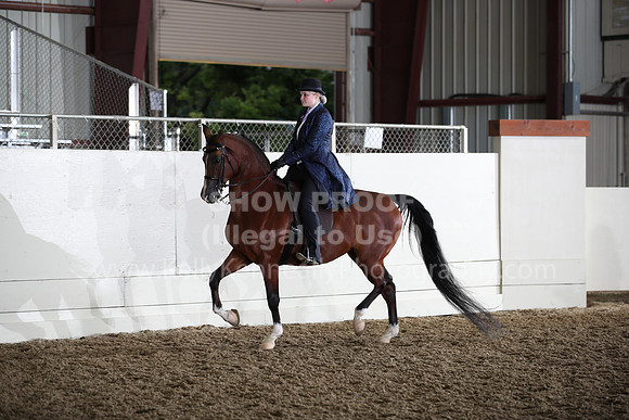AHANC22_Thurs_1317