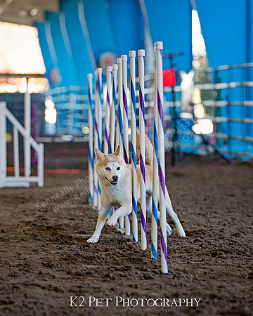 SCAC_Nov17Day1_2574