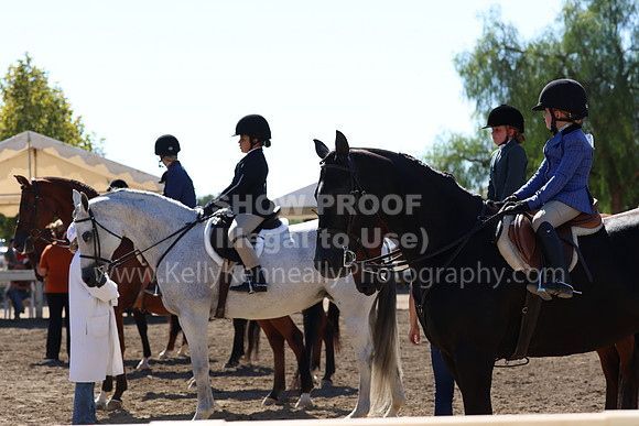DAHA_FF22_3234